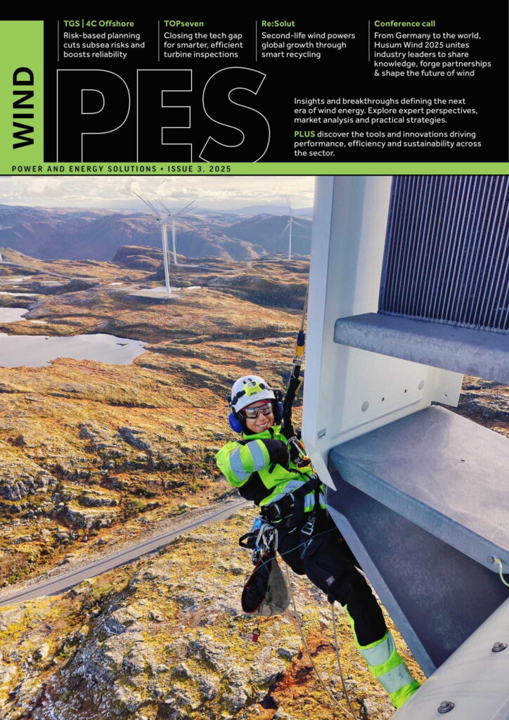 A Practical Guide to Solving Your Wind Farm Lightning Problems