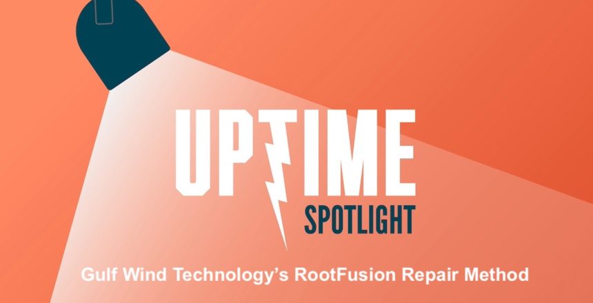 Gulfwind Technology RootFusion spotlight
